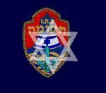 אחי תקומה